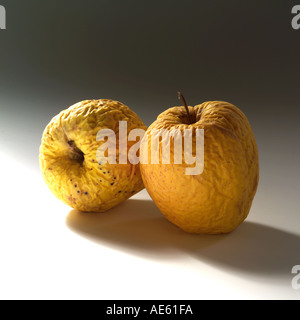 Zwei faltige Golden Delicious Äpfel Stockfoto