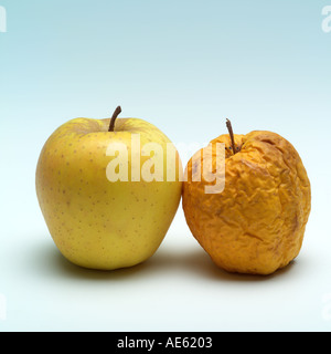 Eine frische und einem Zerknitterten Golden Delicious äpfel, schlechte Haut Konzept Stockfoto