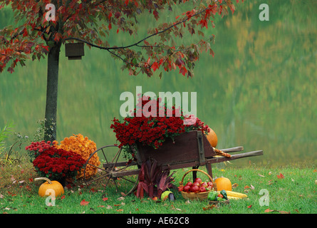 Antikes Holz Schubkarre gefüllt mit Herbsternte Blume rot und orange Mütter und Kürbisse See, Mittlerer Westen Stockfoto