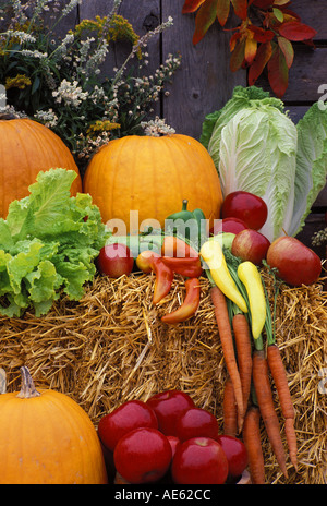 Garten Ernte von hausgemachten Produkten, Missouri USA Stockfoto