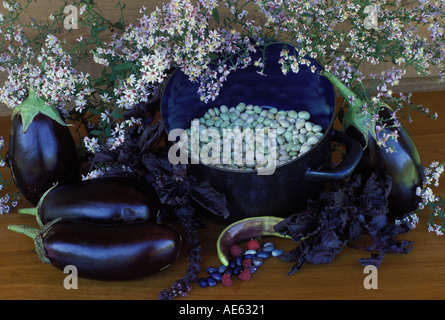 Lila Ernte Stillleben mit Bohnen, Auberginen in einem Keramiktopf mit Blumen, USA Stockfoto