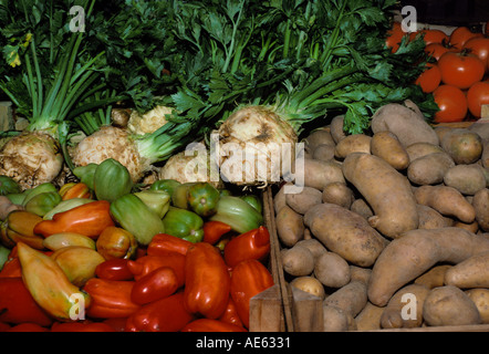 Bauernmarkt: Bunte frisches Bio-Gemüse zu verkaufen, Vermont USA Stockfoto