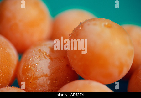 Gelbe Pflaumen (Prunus Domestica var. Syriaca) Stockfoto