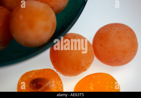 Gelbe Pflaumen (Prunus Domestica var. Syriaca) Stockfoto