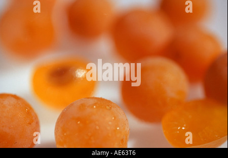 Gelbe Pflaumen (Prunus Domestica var. Syriaca) Stockfoto