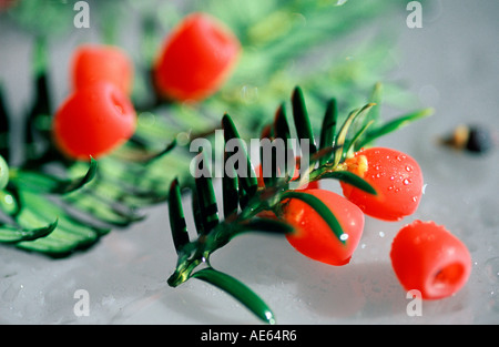 Beeren der Eibe (Taxus Baccata) Stockfoto