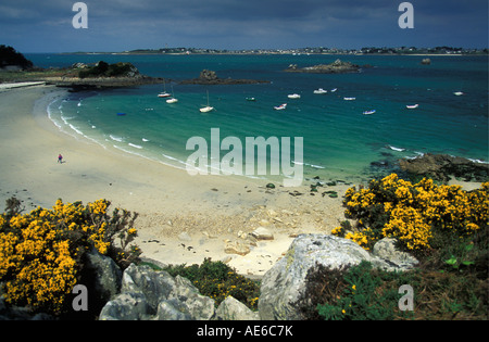 Frankreich, Bretagne, Roscoff, Boote im Meer Stockfoto