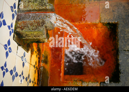 Mineralwässer. Furnas, Azoren, Portugal Stockfoto