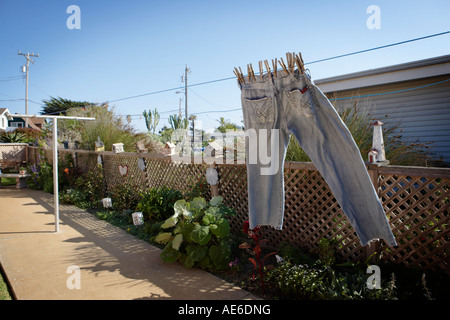 Jeans, hängen, Wäscheleine draußen im Hinterhof Cayucos, Kalifornien. Stockfoto