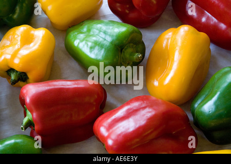 Rote gelbe grüne Paprikaschoten Stockfoto