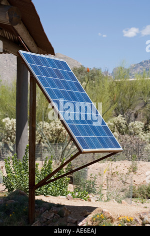 Solar-Panel verwendet wird, in einem Garten für Außenbeleuchtung und andere macht braucht Tucson Arizona Stockfoto