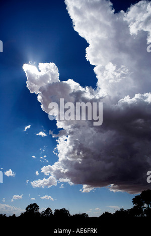 Der Rand eines Gewitters in Utah.  Geschwollene weiße Wolken Rand heraus zu einem blauen Himmel mit hellen Sonnenstrahlen. Stockfoto