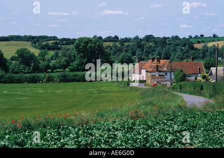 Felder und Hütten auf kleinen Landstraße in die hügelige Landschaft südlich von Hadleigh bekannt als Constable Country Stockfoto