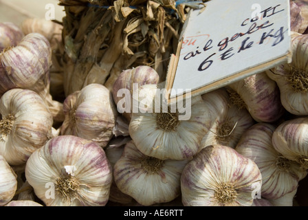 Bild von Trauben von Knoblauch in einem Markt zu verkaufen Stockfoto