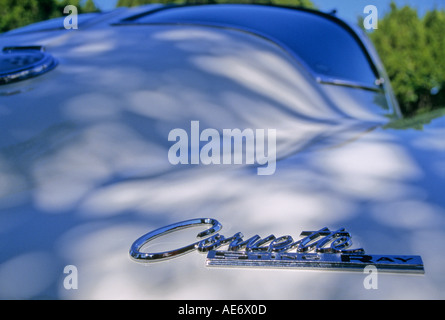 "^ 1963 Chevrolet Corvette"Sting Ray"hinten ^ Fenster und ^ Abzeichen" Stockfoto