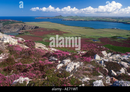 Pembrokeshire Coast von Ramsey Island Stockfoto