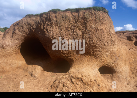 Sanddüne St Govans Kopf Pembrokeshire West Wales UK Stockfoto