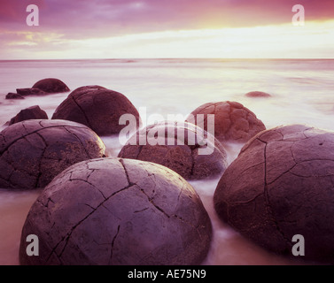 Moeraki Boulders Südinsel Neuseeland Stockfoto