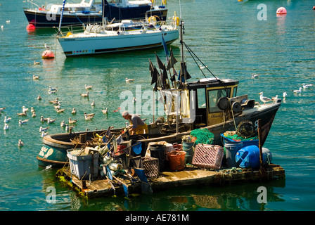 Ein Brixham Fischer Vorbereitung Köder auf seinem Fischerboot mit A Herde von Möwen in Erwartung der Verschnitt Stockfoto