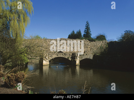 Überreste des 13. Jahrhunderts Brücke über den Fluss Lark Abtei von St Edmunds Bury St Edmunds Suffolk Stockfoto