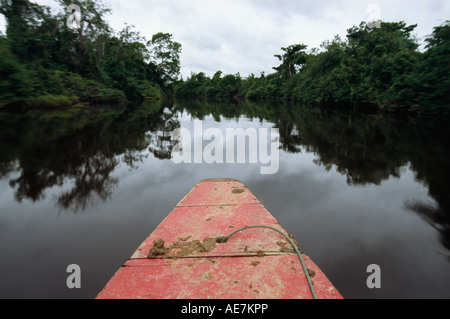 Fluss Kreuzfahrt - Amazonas-Becken, Beni Bolivien Stockfoto