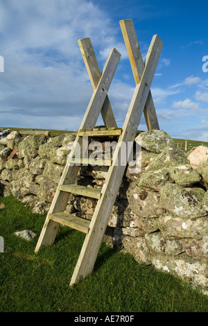 dh ESHA NESS SHETLAND Stile trockenen Stein Land Wanderer Stil Leiter über Trockenmauer Stockfoto