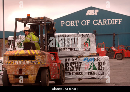 EIN GABELSTAPLER BEWEGEN PALETTEN AUS HOLZ AUF DAS DOCKSIDE EINEN HAFEN IN CARDIFF SOUTH WALES UK Stockfoto