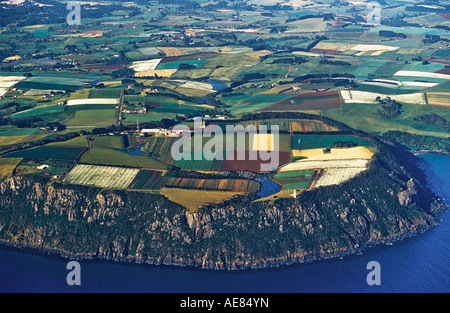 Landwirtschaftlichen Patchwork umfasst Pyrethrum in Blume Table Cape, in der Nähe von Wynard, NE Küste, Tasmanien, Australien, horizontale, Stockfoto