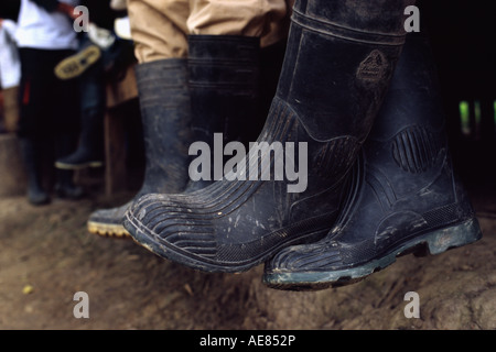 Pampa trekking - Amazonas-Becken, Beni Bolivien Stockfoto