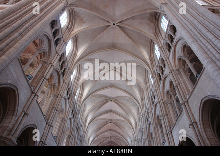 Hauptschiff der Kathedrale Notre-Dame (Laon-Picardie-Frankreich) Stockfoto