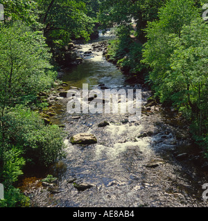 Blick über den East River Lyn eine typische Bachlauf übersät mit Steinen im Watersmeet auf Exmoor North Devon England Stockfoto