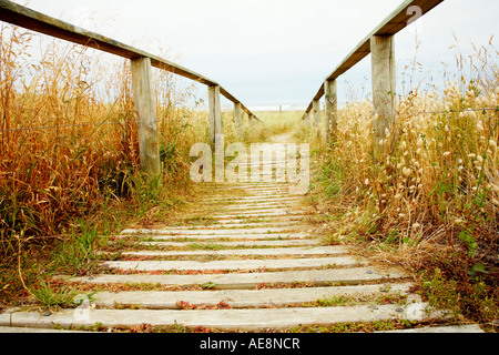 Promenade zum Strand in Hawkes bay Stockfoto