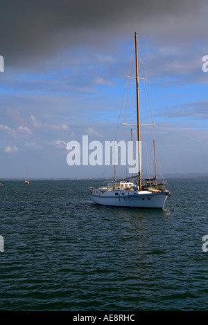 Boot am Waitemata Harbour, Auckland New Zealand Stockfoto