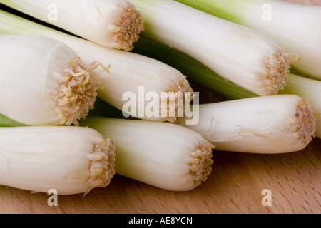 Makroaufnahme von Frühlingszwiebeln auf ein Schneidbrett aus Holz. Stockfoto