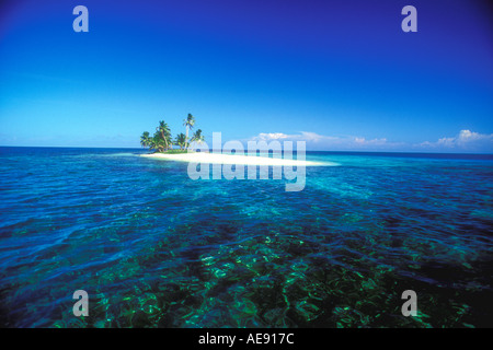 Eine kleine Palme bedeckte tropischen Insel am Horizont in Belize Karibik Stockfoto