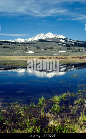 Reflexionen der Gallatin Mountain Range in den kleinen Seen in der Indian Creek Gegend des Yellowstone National Park in Wyoming USA Stockfoto