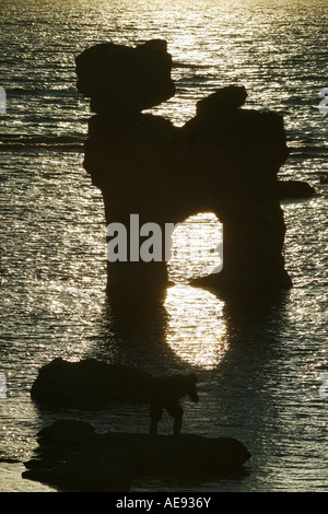Natürliche Seastacks in Fårö, Gotland, genannt Rauks. Diese Rauk ist eines der berühmtesten stehend im Wasser Gamla Hamnøya. Stockfoto