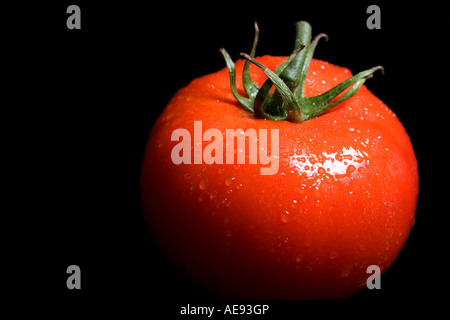 Rebe Reife rote Tomaten auf einem schwarzen Hintergrund Stockfoto