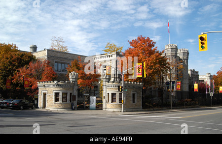 Königliche kanadische Minze auf Sussex Dr im Herbst in Ottawa Stockfoto