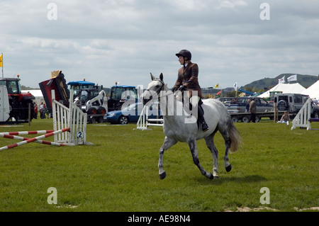 Reiterin Springturnier auf grauen Stute Pferd zentral- und West Fife jährliche Agricultural Show Juni 2006 Stockfoto