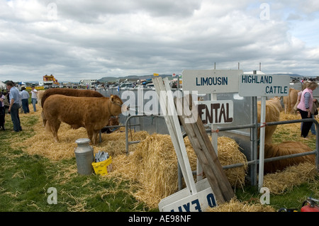 Rinder-zentral- und West Fife jährlichen landwirtschaftlichen zeigen, Juni 2006 Stockfoto