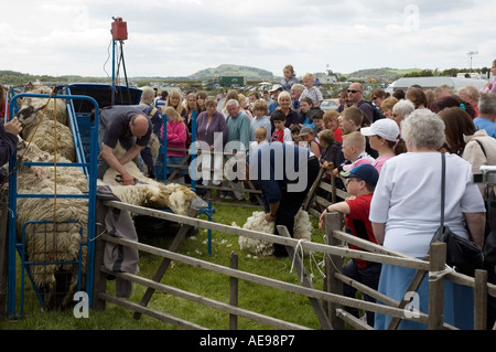 Publikum beobachten Schafschur Demonstration in Zentral- und West Fife jährliche Agricultural Show Juni 2006 Stockfoto