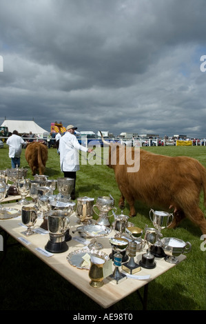 Preis gewinnende Highland Cattle Stier wird führte vorbei Trophäe Tisch in Zentral- und West Fife jährliche Agricultural Show Juni 2006 Stockfoto