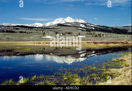 Reflexionen der Gallatin Mountain Range in den kleinen Seen in der Indian Creek Gegend des Yellowstone National Park in Wyoming USA Stockfoto