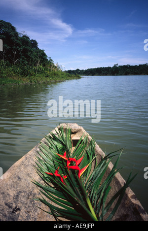 Kanufahrt - Amazonasbecken, Beni, Bolivien Stockfoto