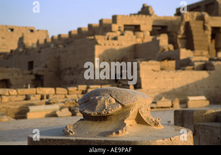 Riesigen Stein Skarabäus-Käfer in der Fußgängerzone des Amun in Karnak Tempel, Luxor, Ägypten Stockfoto