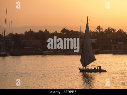 Feluke Segeln auf dem Nil bei Sonnenuntergang, Luxor, Ägypten Stockfoto