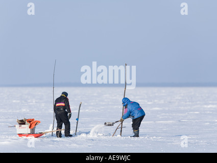 Zwei Fischer, die den Schnee aus dem Eisloch für Fischernetze an der Ostsee, dem Golf von Bothnia, Finnland, räumen Stockfoto