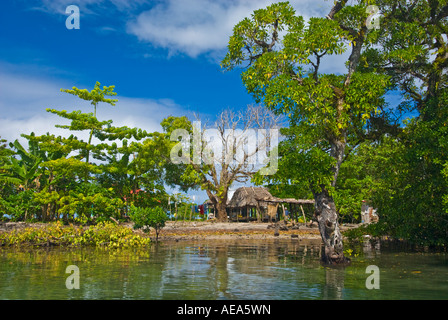 Feuchtgebiete Mangroven trail Samoa Upolu Südküste in der Nähe von SAANAPU Saanapu-Sataoa Mangrove Conservation Area Stockfoto