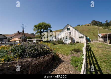 Tour von Käse Ziegenhof Harley Farmen in Pescadero San Mateo Küste von Kalifornien südlich von San Francisco Stockfoto